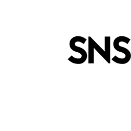 6G SNS