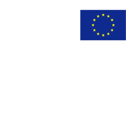 STM Logo